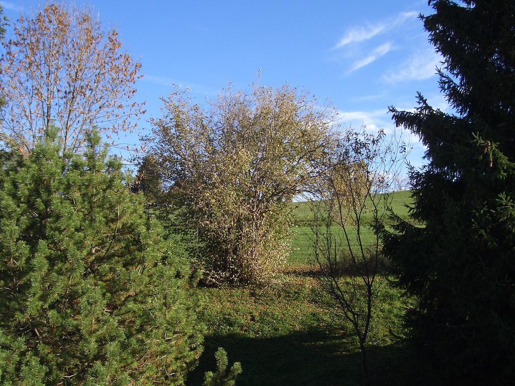 Gaestehaus Guggomos "Hopfen Am See" Fussen Ruang foto